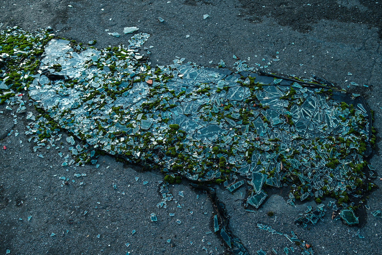© Miguel Rodrigues, Carpe Diem, Houdini Is Not Dead