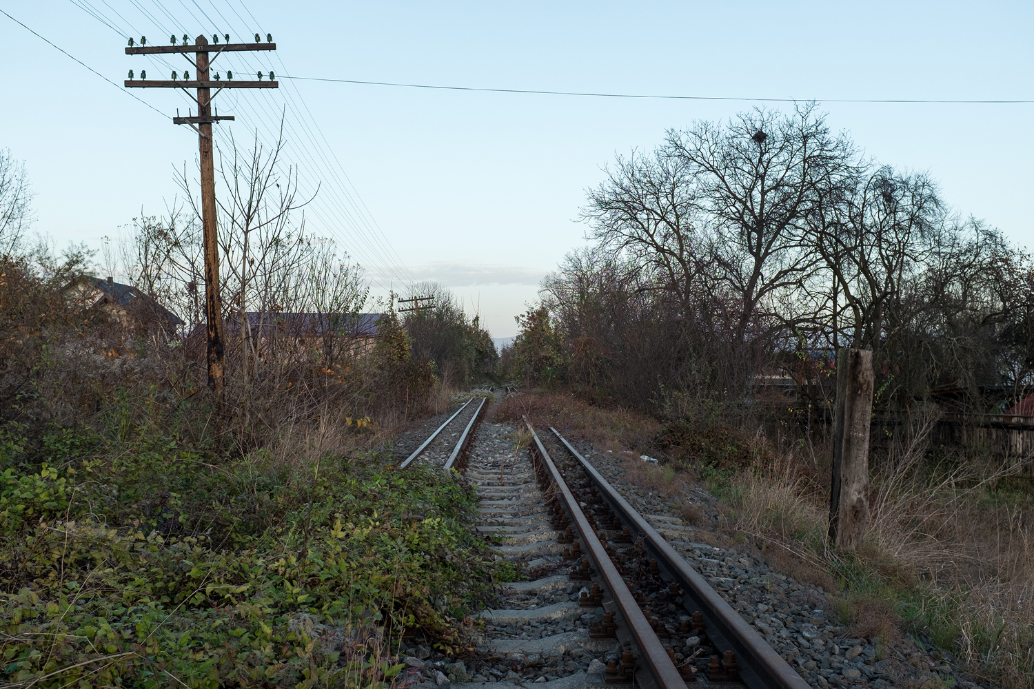 © MARC SCHROEDER, ORDER 7161