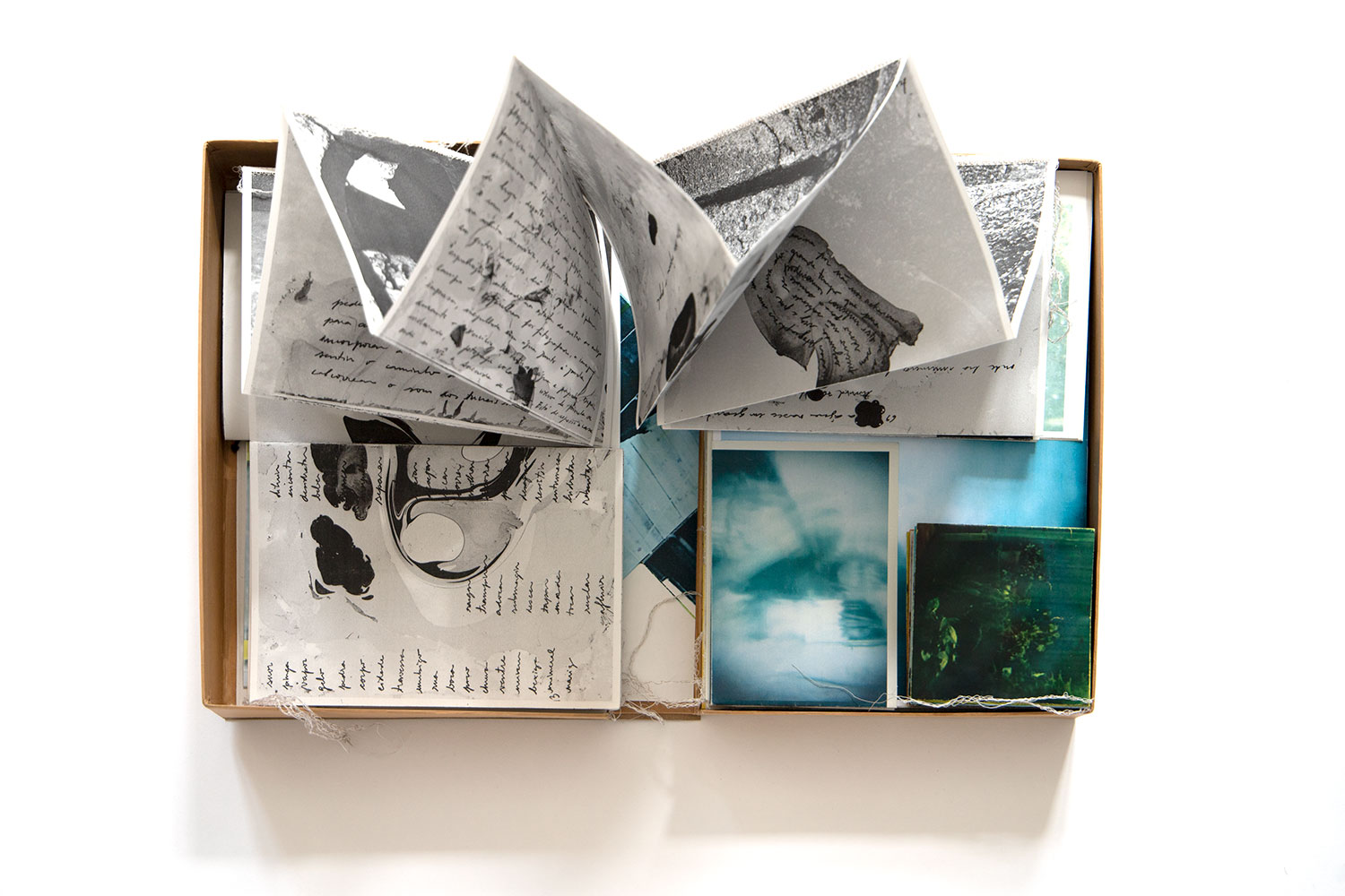 © PAULA ROUSH, Liquid Memories