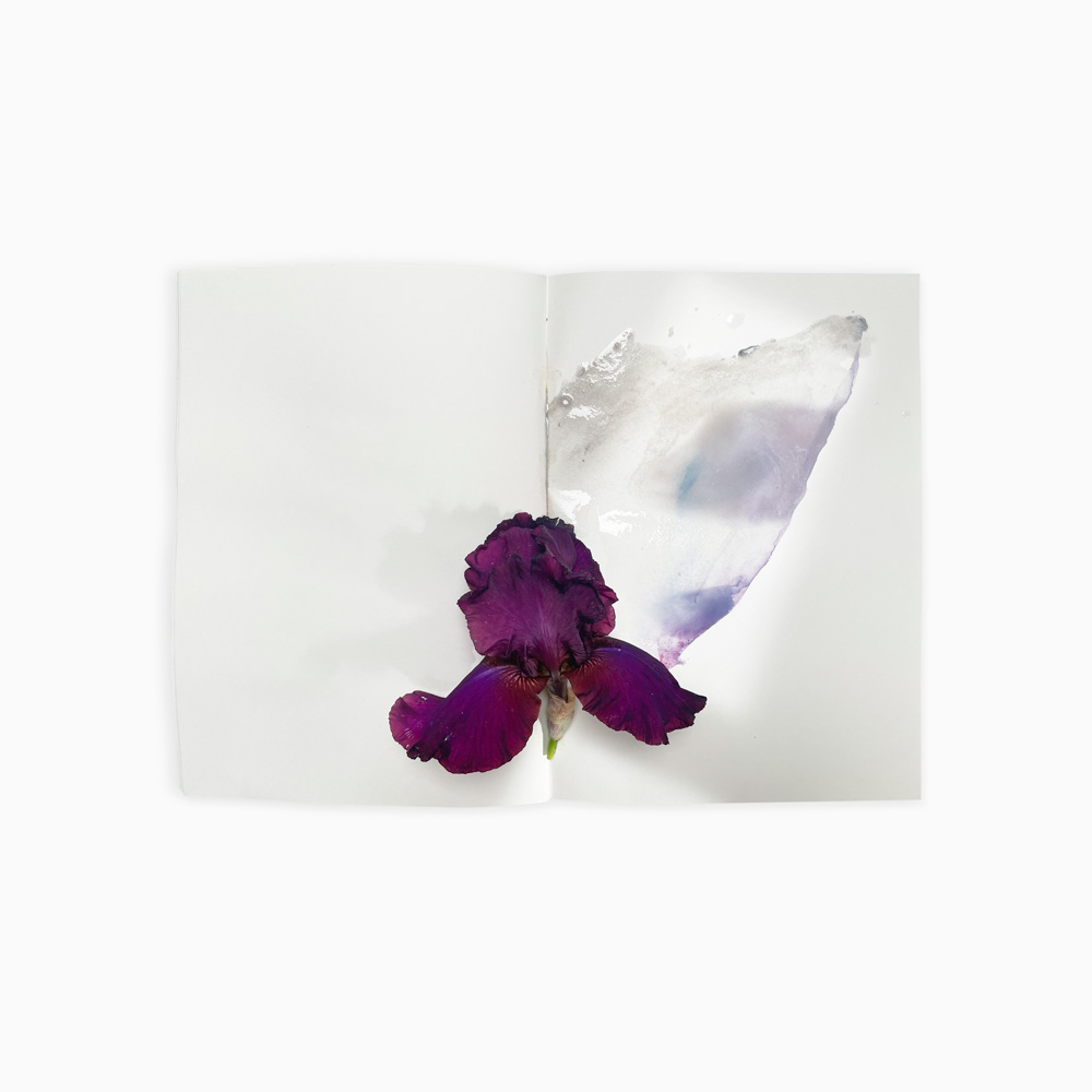 © Sarah Schorr, Ephemeral Field Journal