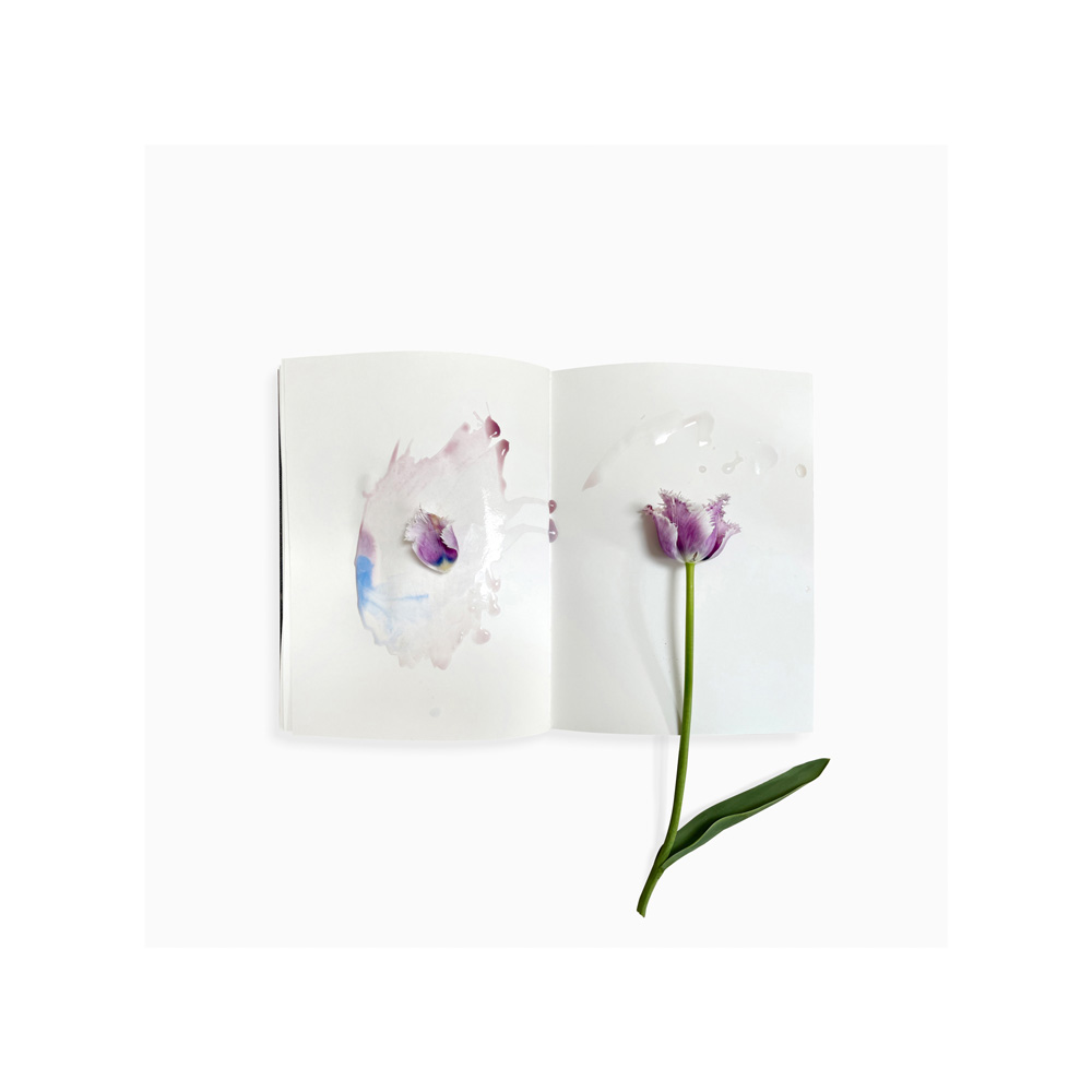 © Sarah Schorr, Ephemeral Field Journal
